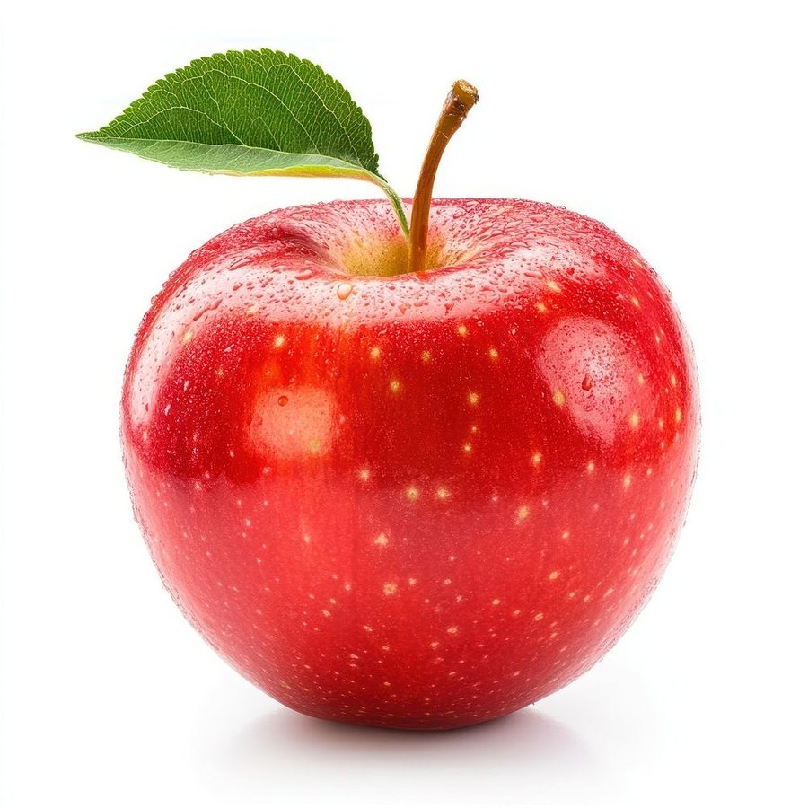 Intro Image