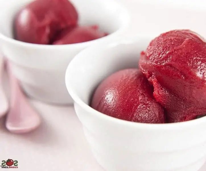 🍨 Homemade Aronia ice cream