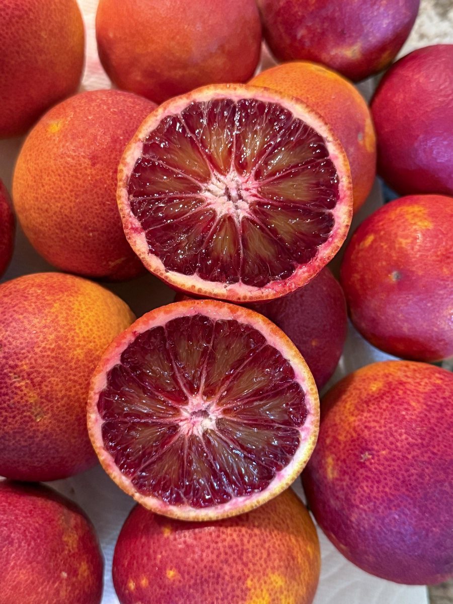 Portocală roșie (Citrus sinensis)