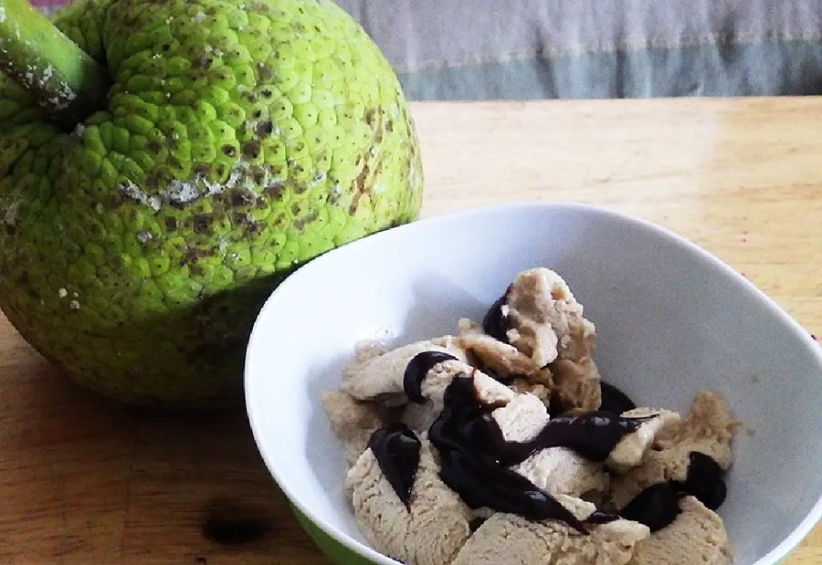🍨 Înghețată de Fructul pâinii de casă
