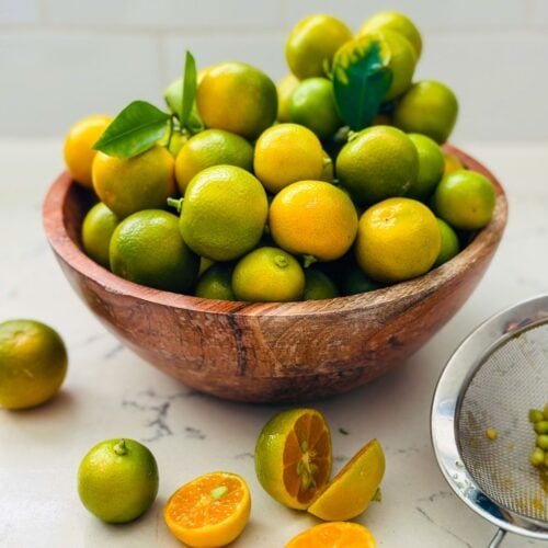 Calamansi (Citrus × microcarpa)