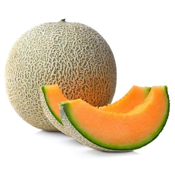 Cantalup (Cucumis melo var. cantalupensis)