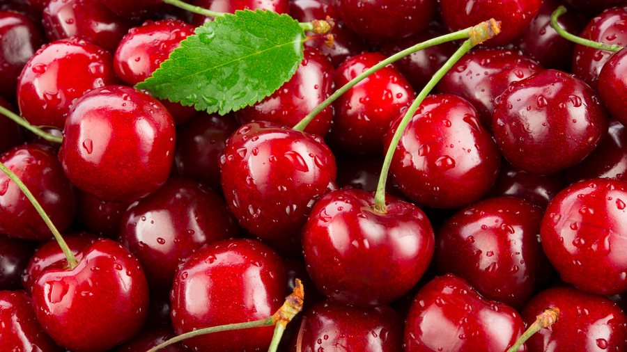 Cireașă (Prunus avium)