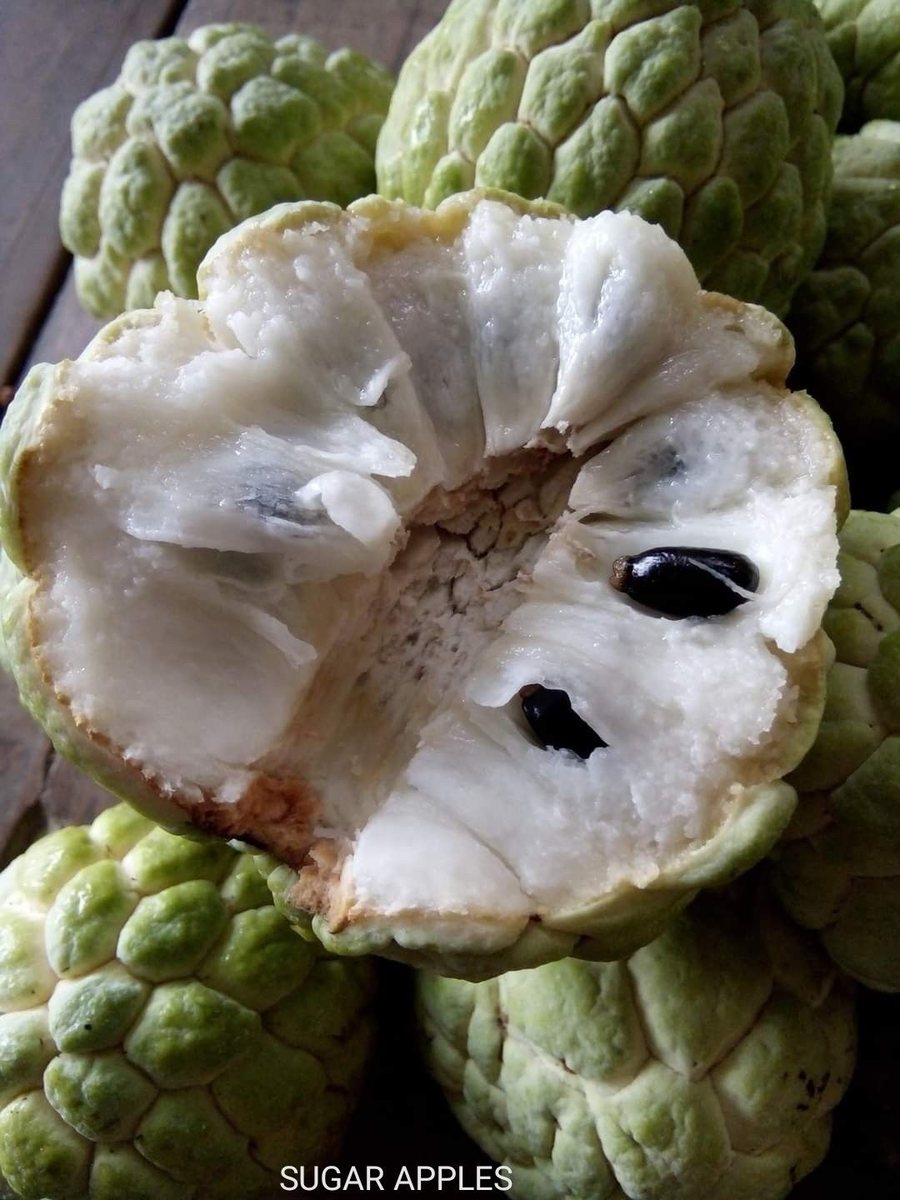 Măr de zahăr (Annona reticulata)