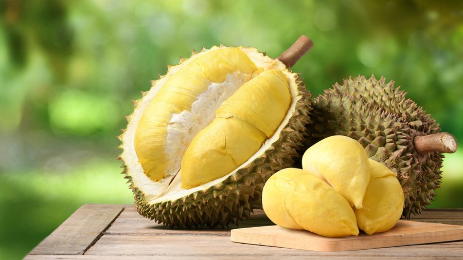 Durian (Durio zibethinus)