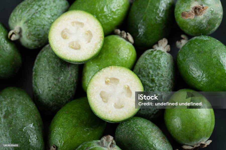 Feijoa (Acca sellowiana)