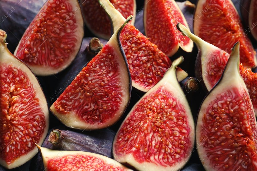 Smochină (Ficus carica)