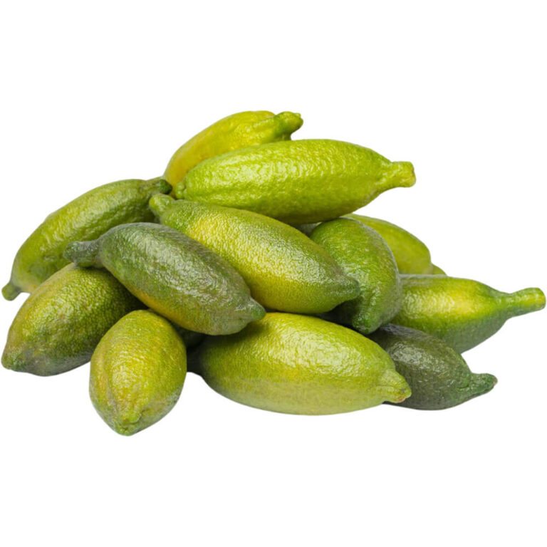 Lime caviar (Citrus australasica)