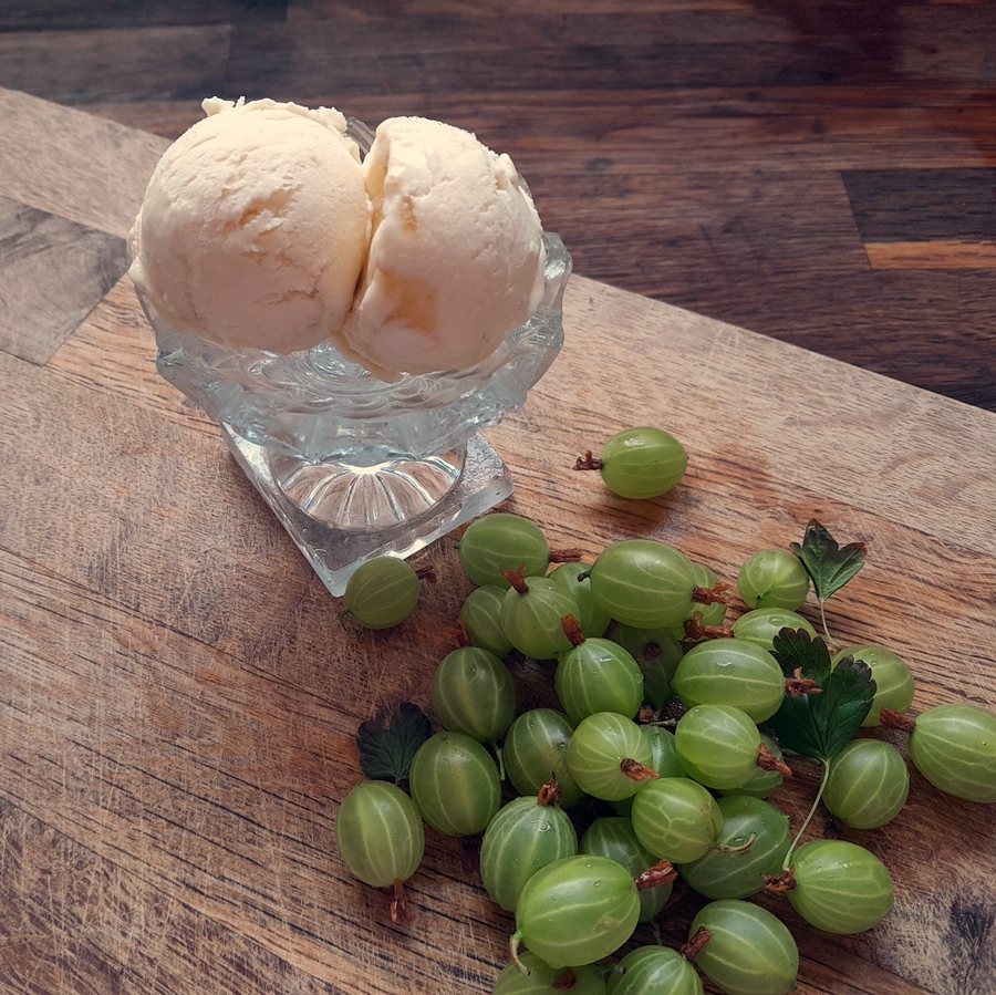 🍨 Înghețată de Agrișă de casă