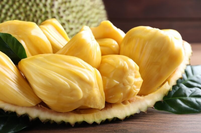 Jackfruit (Artocarpus heterophyllus)
