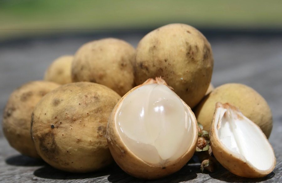 Langsat (Lansium domesticum)