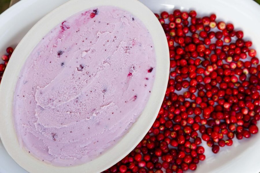 🍨 Înghețată de Afin roșu de casă