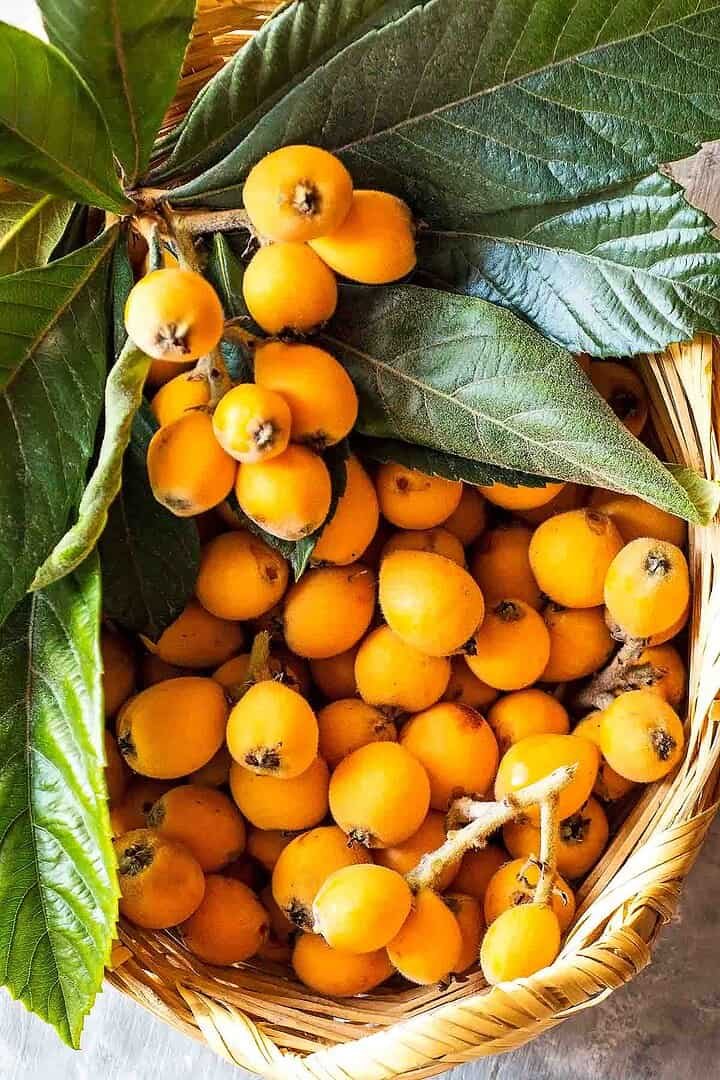 Moșmon japonez (Eriobotrya japonica)