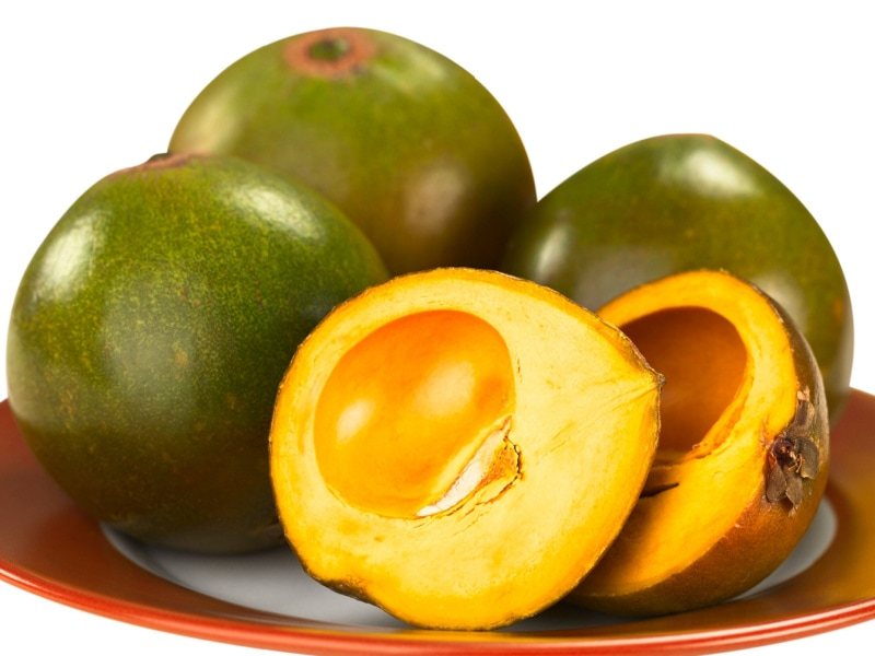 Lucuma (Pouteria lucuma)