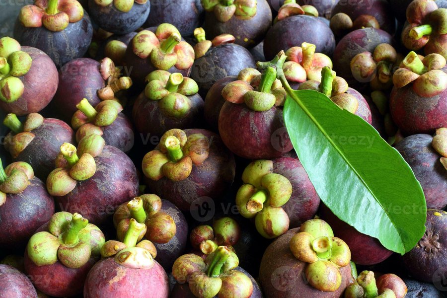 Mangustan (Garcinia mangostana)