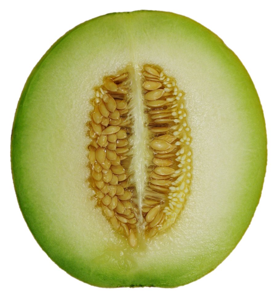 Pepene galben (Cucumis melo)