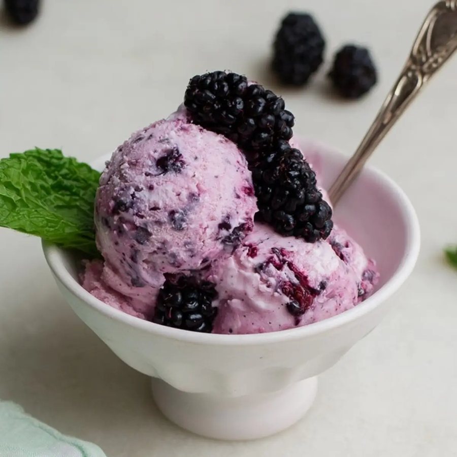 🍨 Înghețată de Dudă de casă