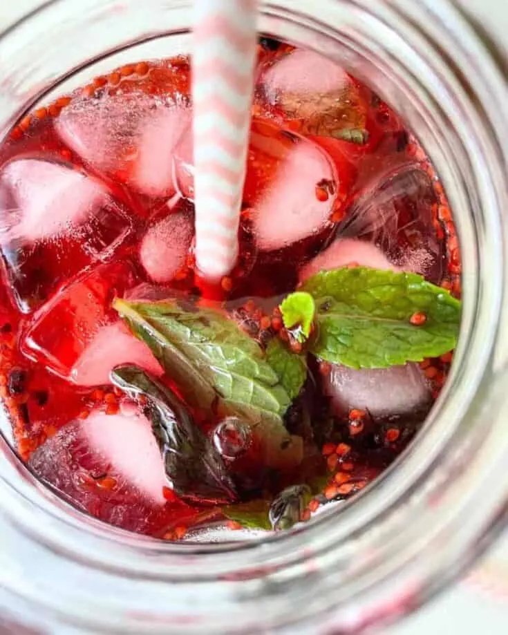 🍹 Mocktail cu Dudă