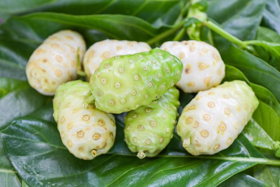 Noni (Morinda citrifolia)