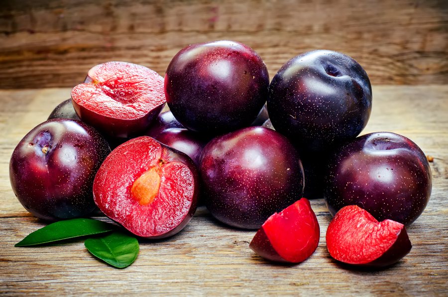 Prună (Prunus domestica)