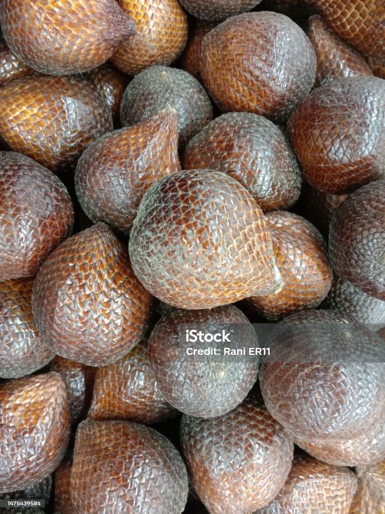 Salak (Salacca zalacca)