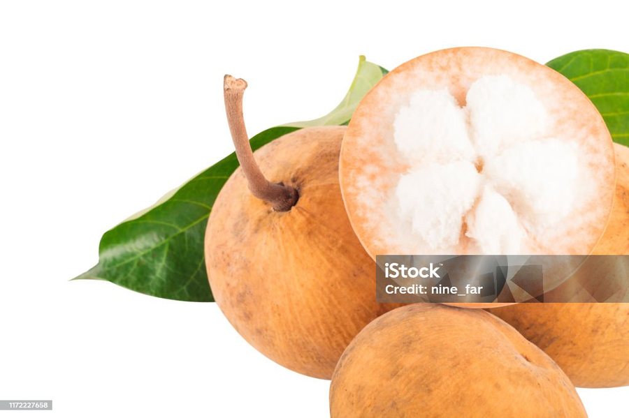 Santol (Sandoricum koetjape)