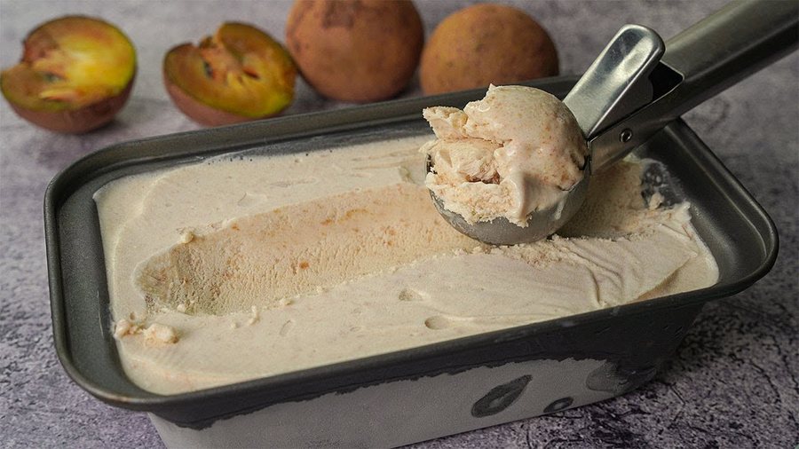 🍨 Înghețată de Sapodilla de casă