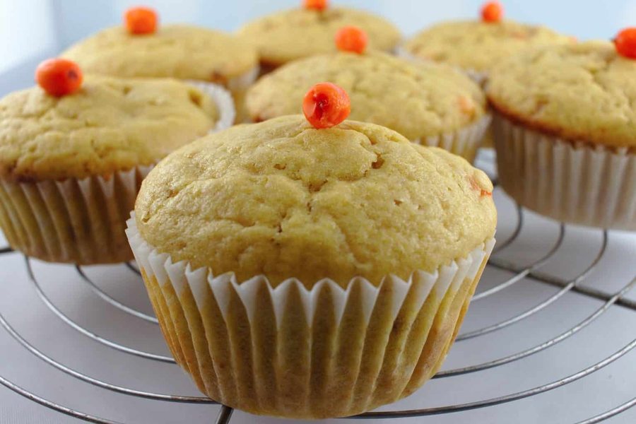 🧁 Muffins cu Cătină
