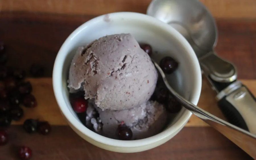🍨 Înghețată de Pom cu stafide de casă