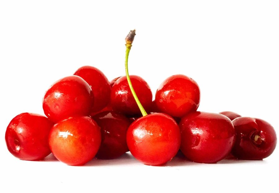 Vișină (Prunus cerasus)