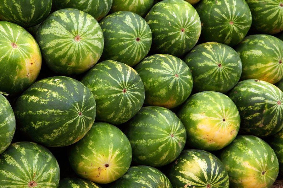 Pepene verde (Citrullus lanatus)