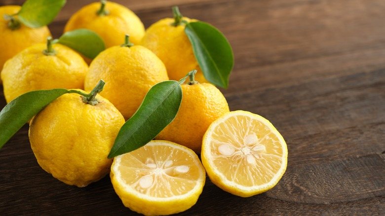Yuzu (Citrus junos)
