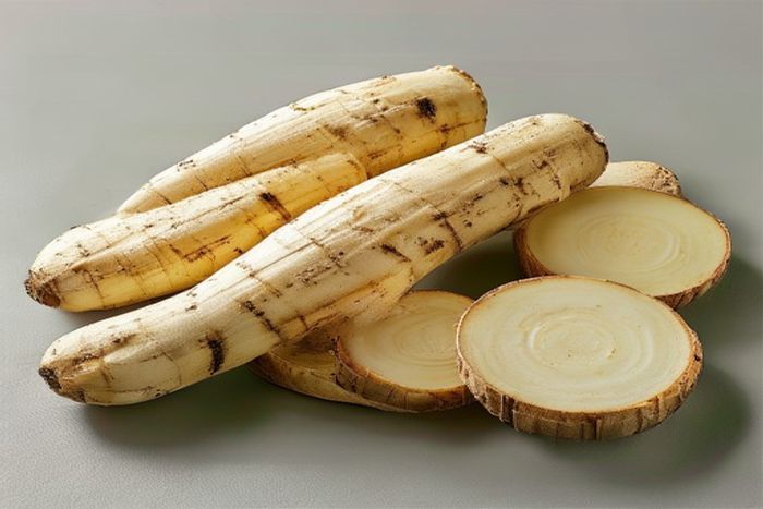 Manioc (Manihot esculenta)