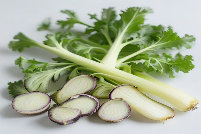 Cicoare (Cichorium intybus)