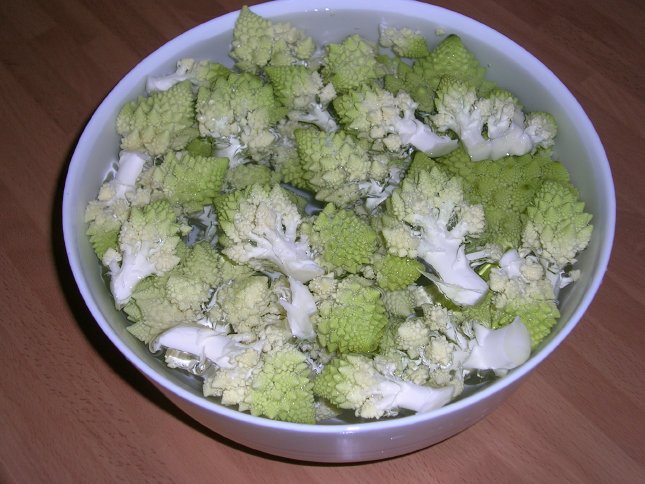 Conopida Romanesco