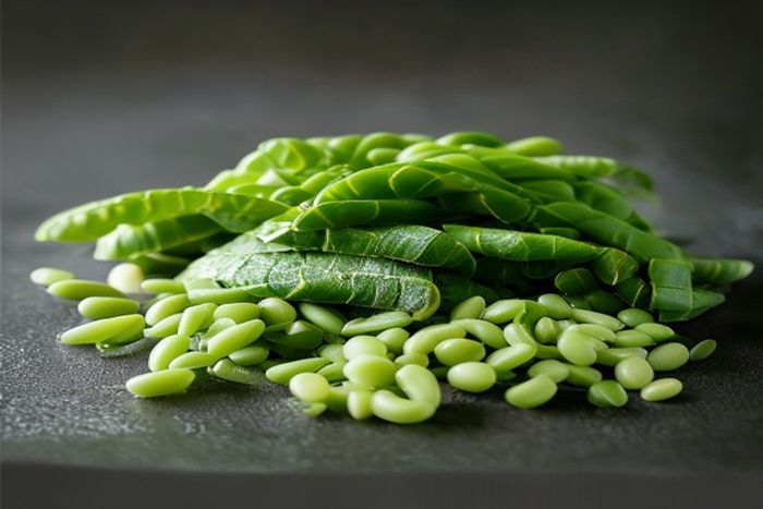 Fasole mung (Vigna radiata)
