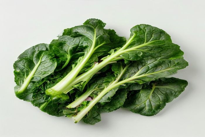 Mangold (Beta vulgaris subsp. vulgaris)