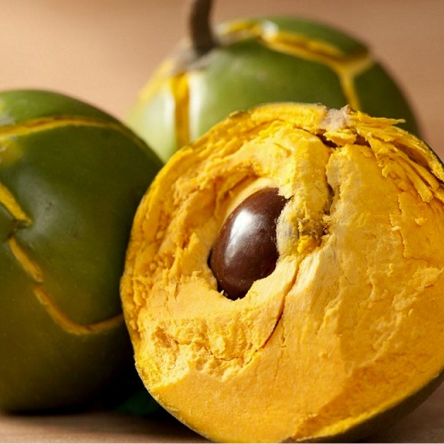 Lucuma (Pouteria lucuma)